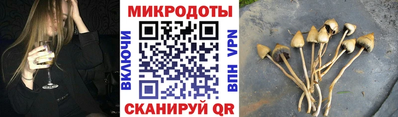 Галлюциногенные грибы прущие грибы  Тара 